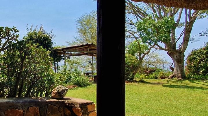 Wide Horizons Mountain Retreat