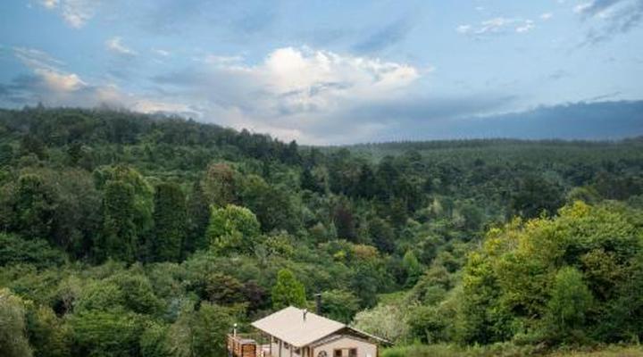 AfriCamps Magoebaskloof