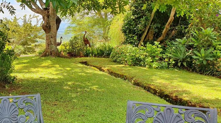 Wide Horizons Mountain Retreat