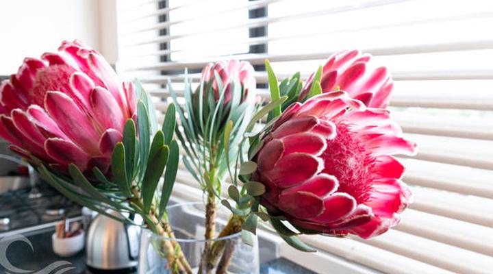 Jeffreys Bay Luxury Apartments