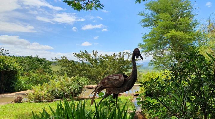 Wide Horizons Mountain Retreat