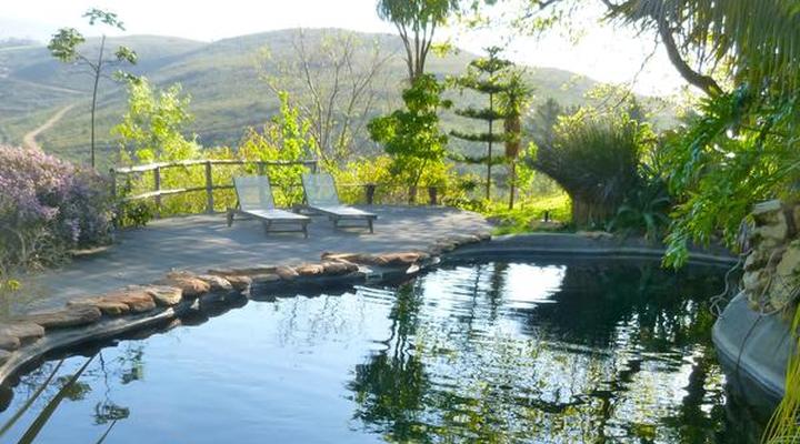 Porcupine Hills Guest Farm