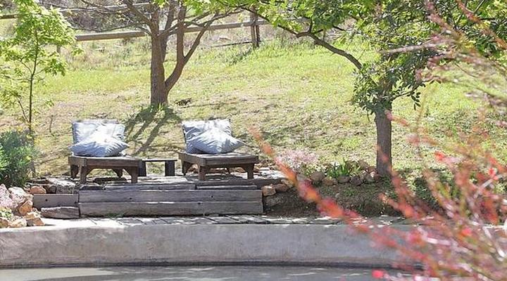 Porcupine Hills Guest Farm