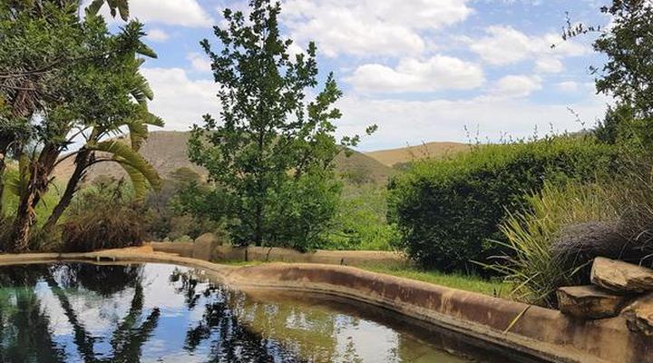 Porcupine Hills Guest Farm