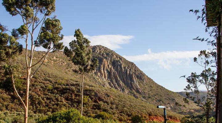 Porcupine Hills Guest Farm