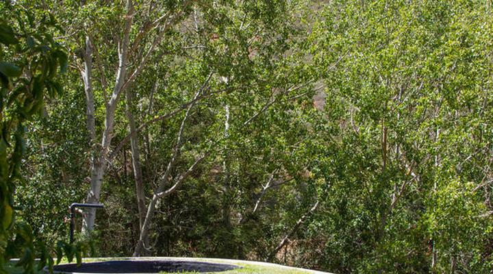 Porcupine Hills Guest Farm