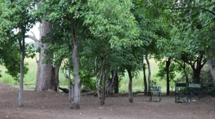 Khwai Game Lodge and Campsite