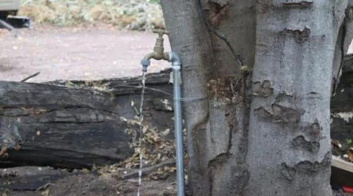 Khwai Game Lodge and Campsite