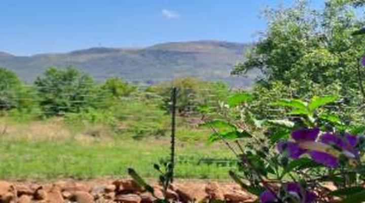 Buck Hill Bush Lodge