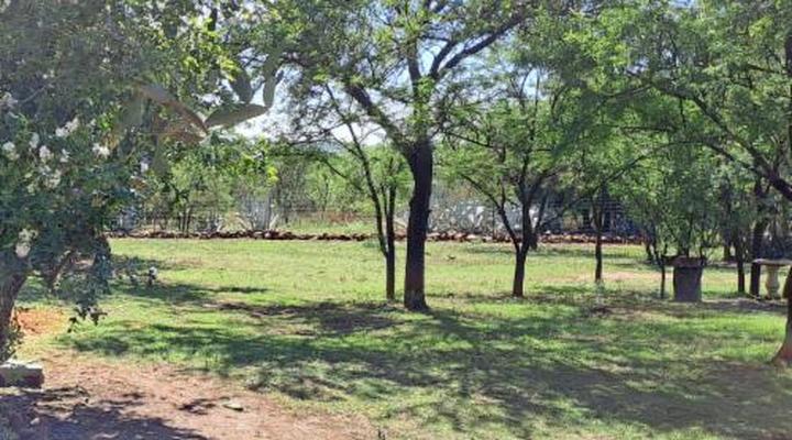 Buck Hill Bush Lodge