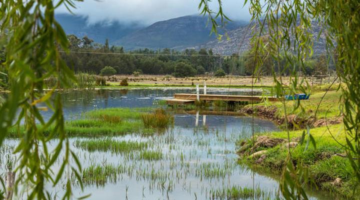 Shanzeley Guest House