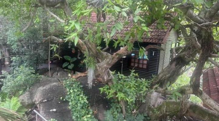 Beetleloop Guesthouse