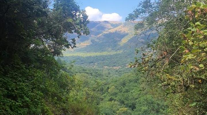 Elangeni Holiday Resort