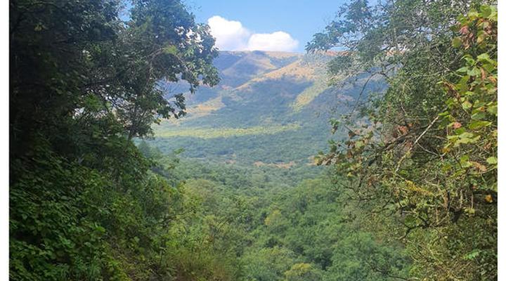 Elangeni Holiday Resort