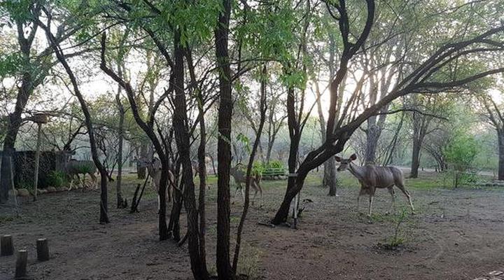 Marlothi Safari Park