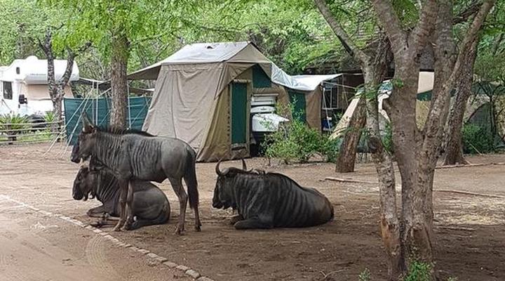 Marlothi Safari Park