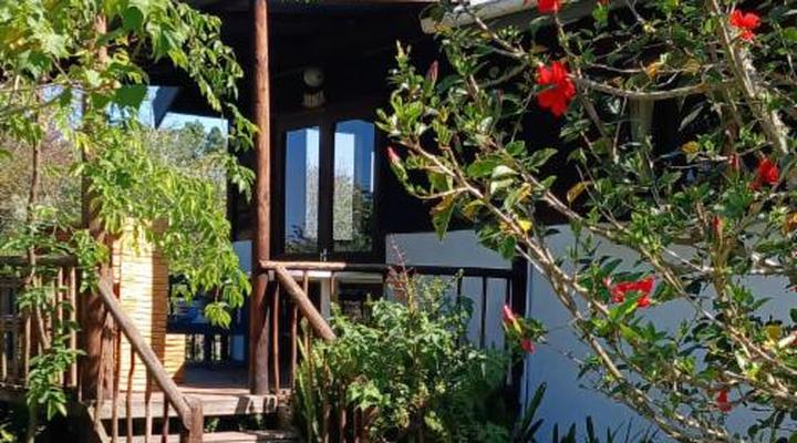 Peace of Eden Vegan Forest Getaway