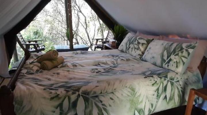 Peace of Eden Vegan Forest Getaway