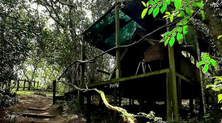 Peace of Eden Vegan Forest Getaway