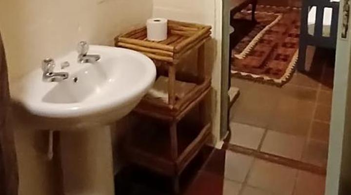 Peace of Eden Vegan Forest Getaway