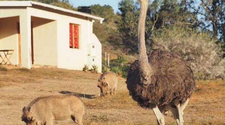 Pure Nature Familodge