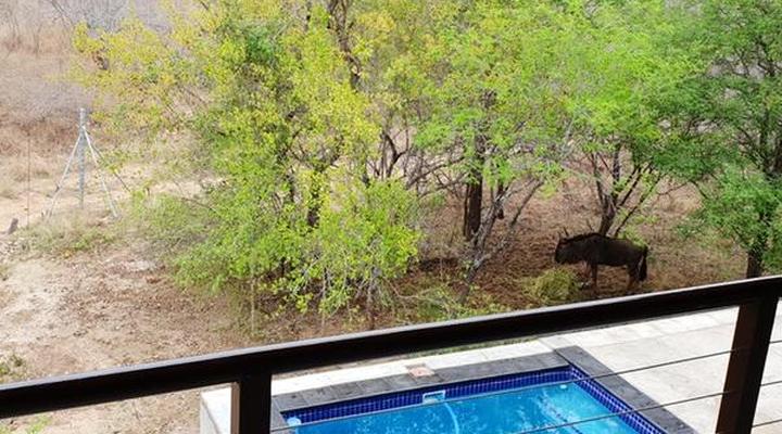 Lionsview Private Lodge