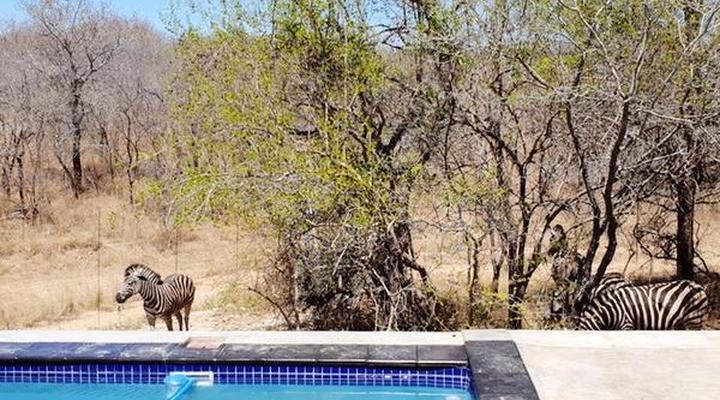 Lionsview Private Lodge