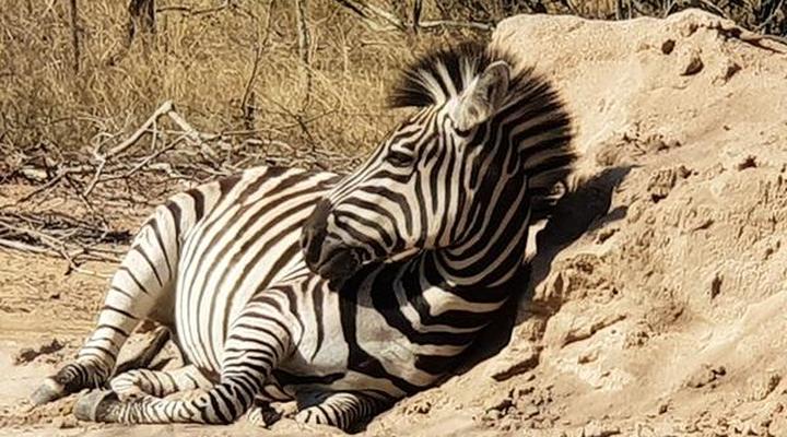 Lionsview Private Lodge