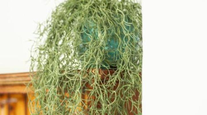 Oewerzicht Tented River Lodge & Farm Cottages