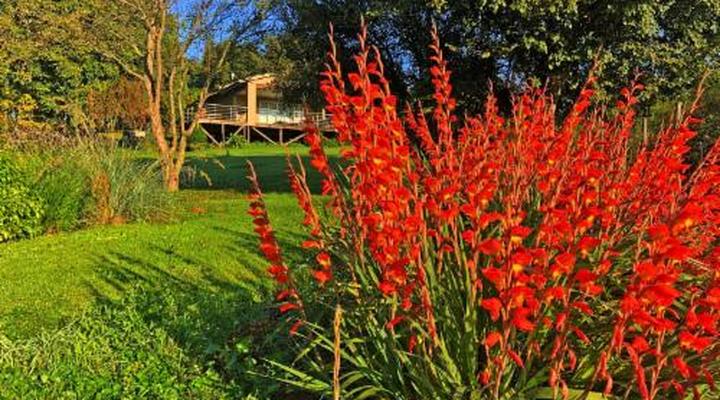 Hills and Dales Accommodation CC