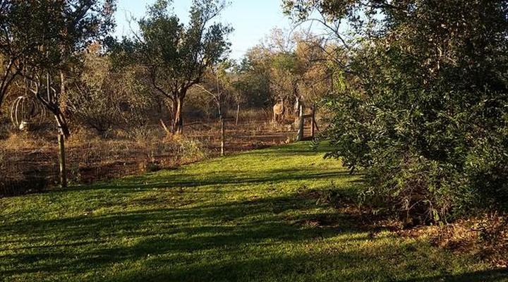 Call of the Wild Lodge