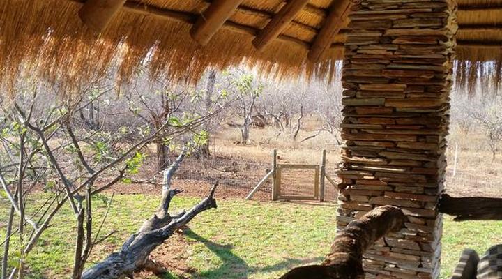 Call of the Wild Lodge