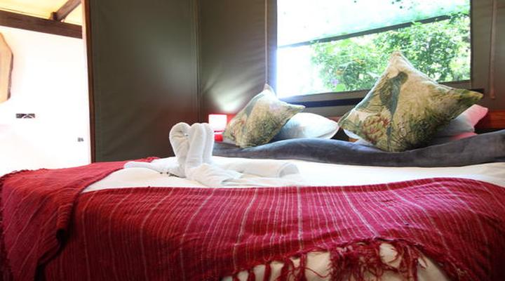 Tube 'n Axe Backpackers Lodge