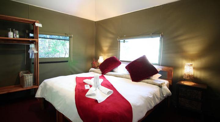 Tube 'n Axe Backpackers Lodge