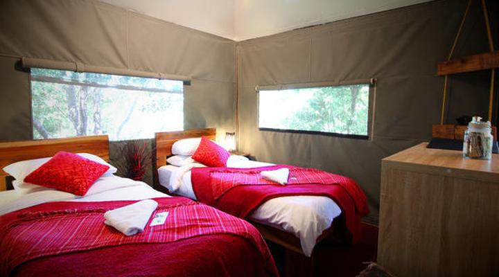 Tube 'n Axe Backpackers Lodge