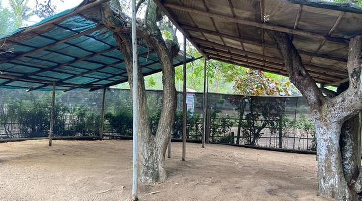 Underwater Explorers