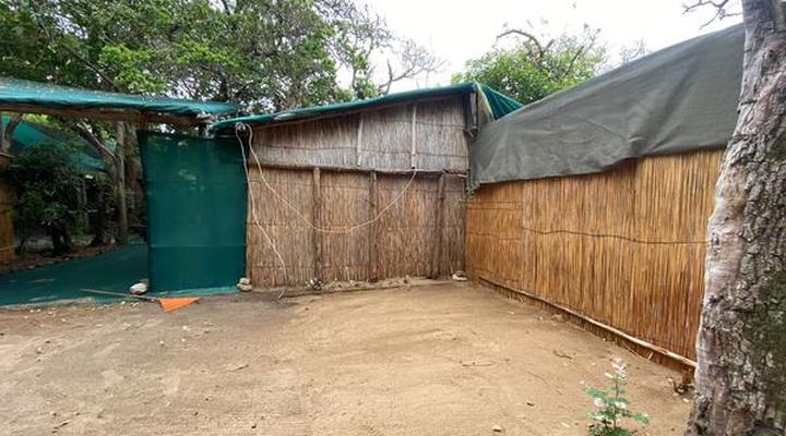 Underwater Explorers