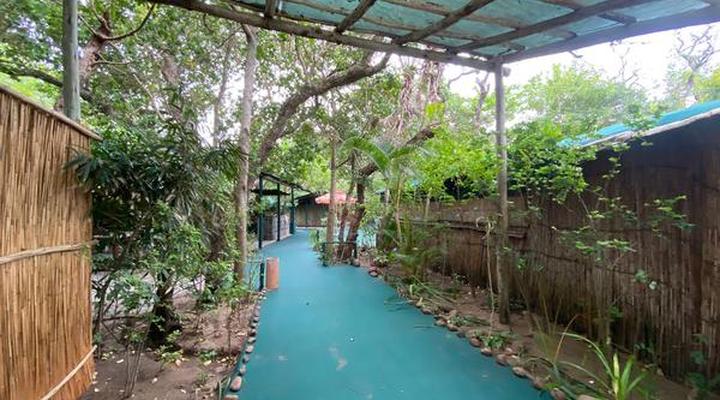 Underwater Explorers