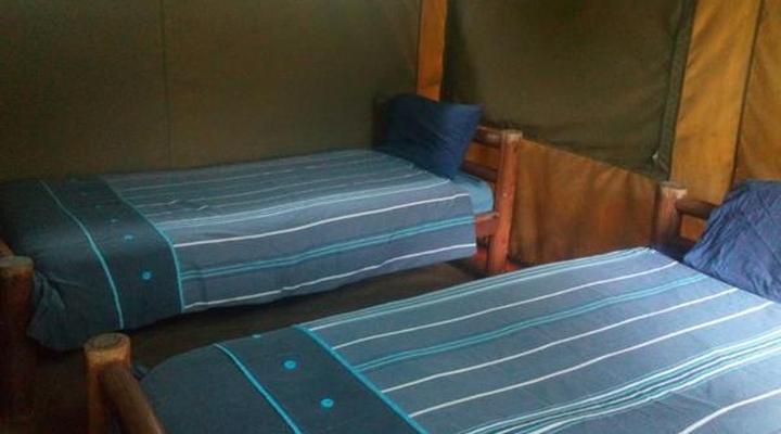 Underwater Explorers