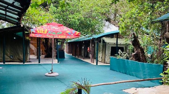 Underwater Explorers