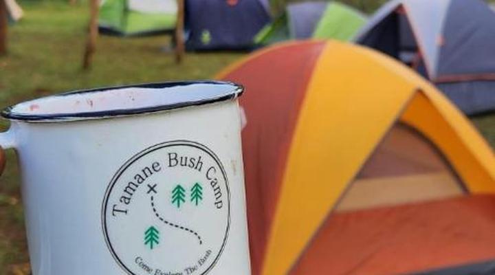 Tamane Bush Camp
