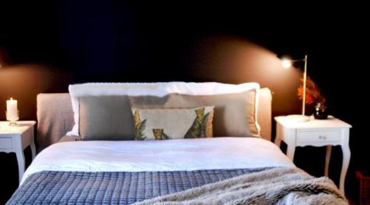 Tradewinds Guest House