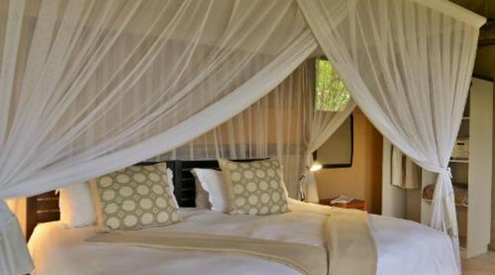 Ghoha Hills - Savuti Lodge