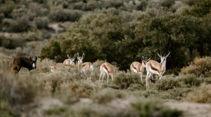 Breathe Lodge & Cottage