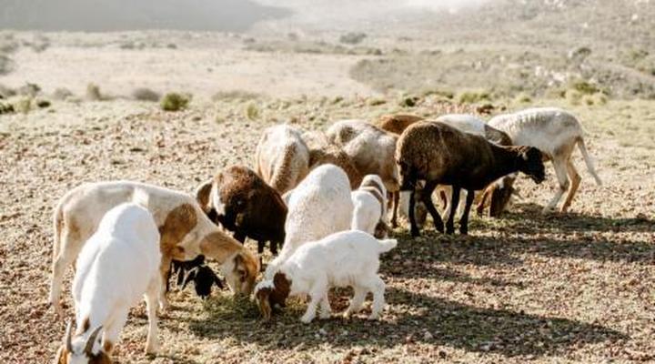 Breathe Lodge & Cottage