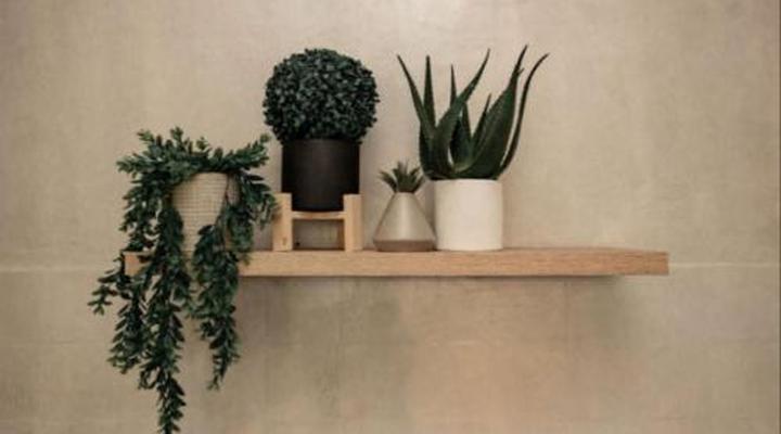 Linvale Country Lodge