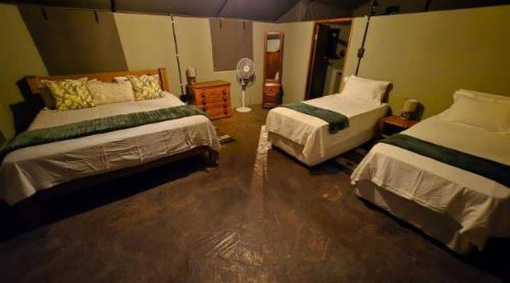 Limpopo Bushveld Retreat Private Campsite