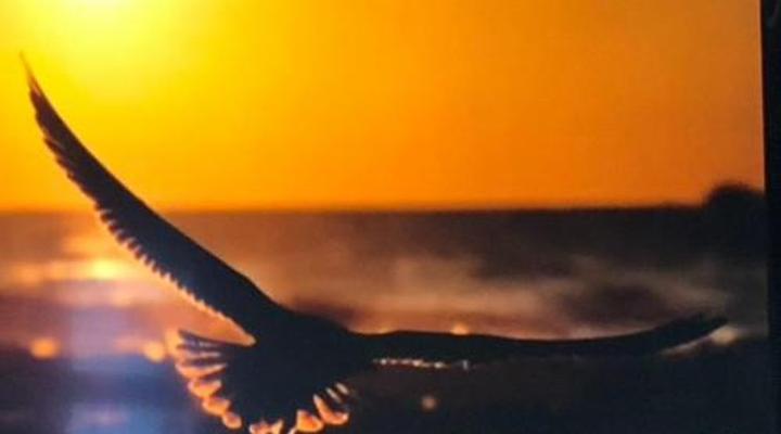 Old Cape on the Marina