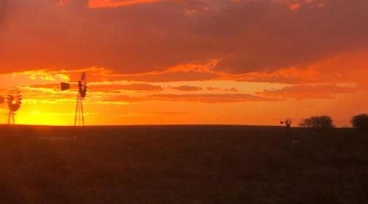 Old Cape on the Marina