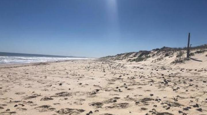 Old Cape on the Marina